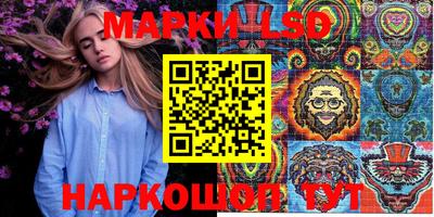 стафф Донской