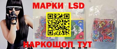 стафф Донской