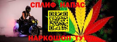 дурь Дубна